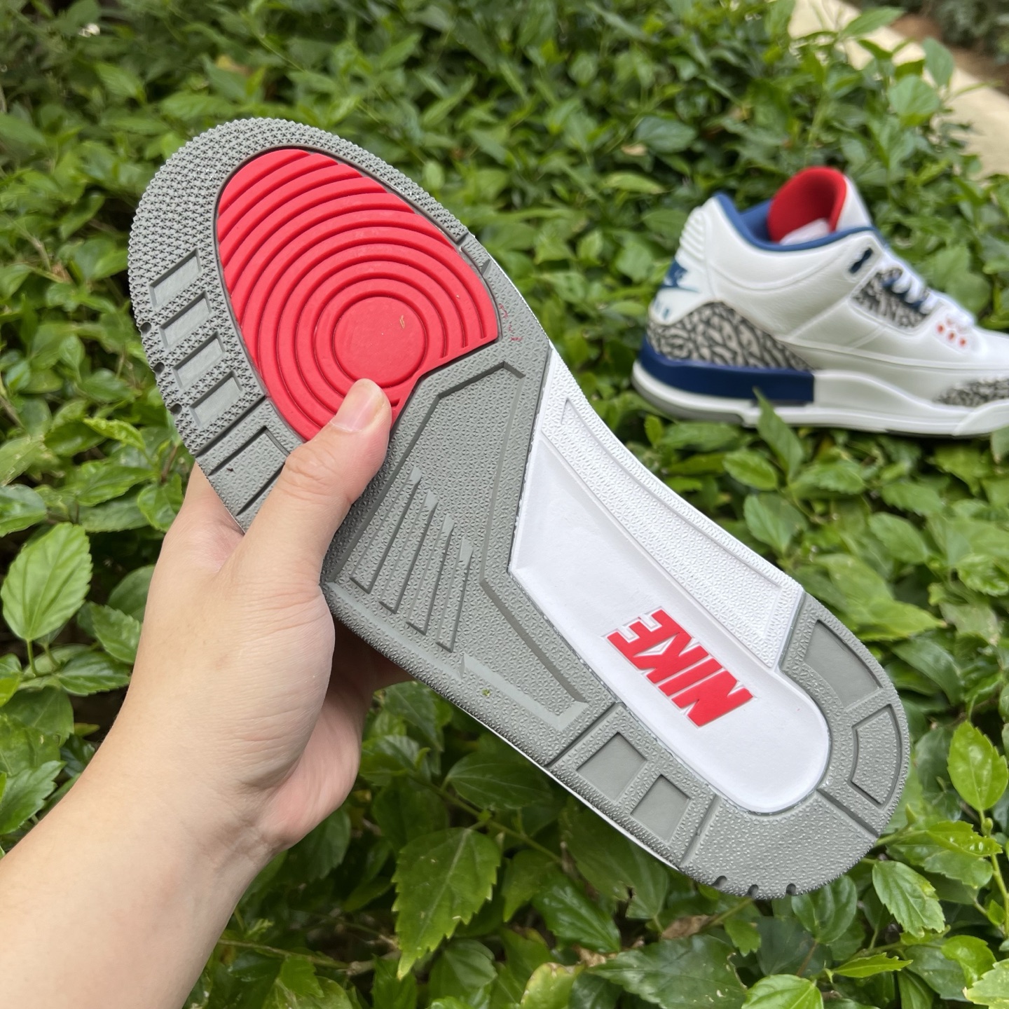 Nike Jordan shoe